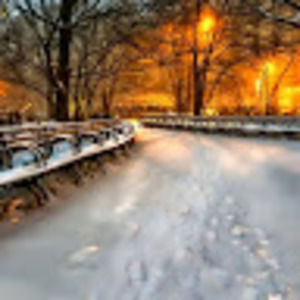 Meet your Posher, Maikhanh